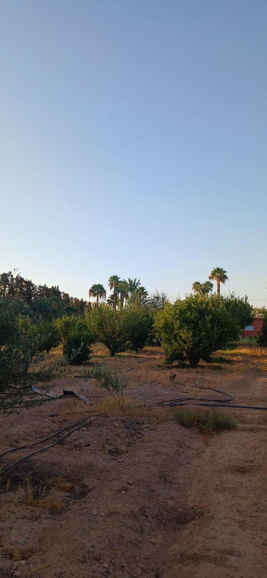Rayan Marrakech Secteur Palmeraie Dans Propriete De 2 Hectares Avec Jardin Arbres Fruitiers