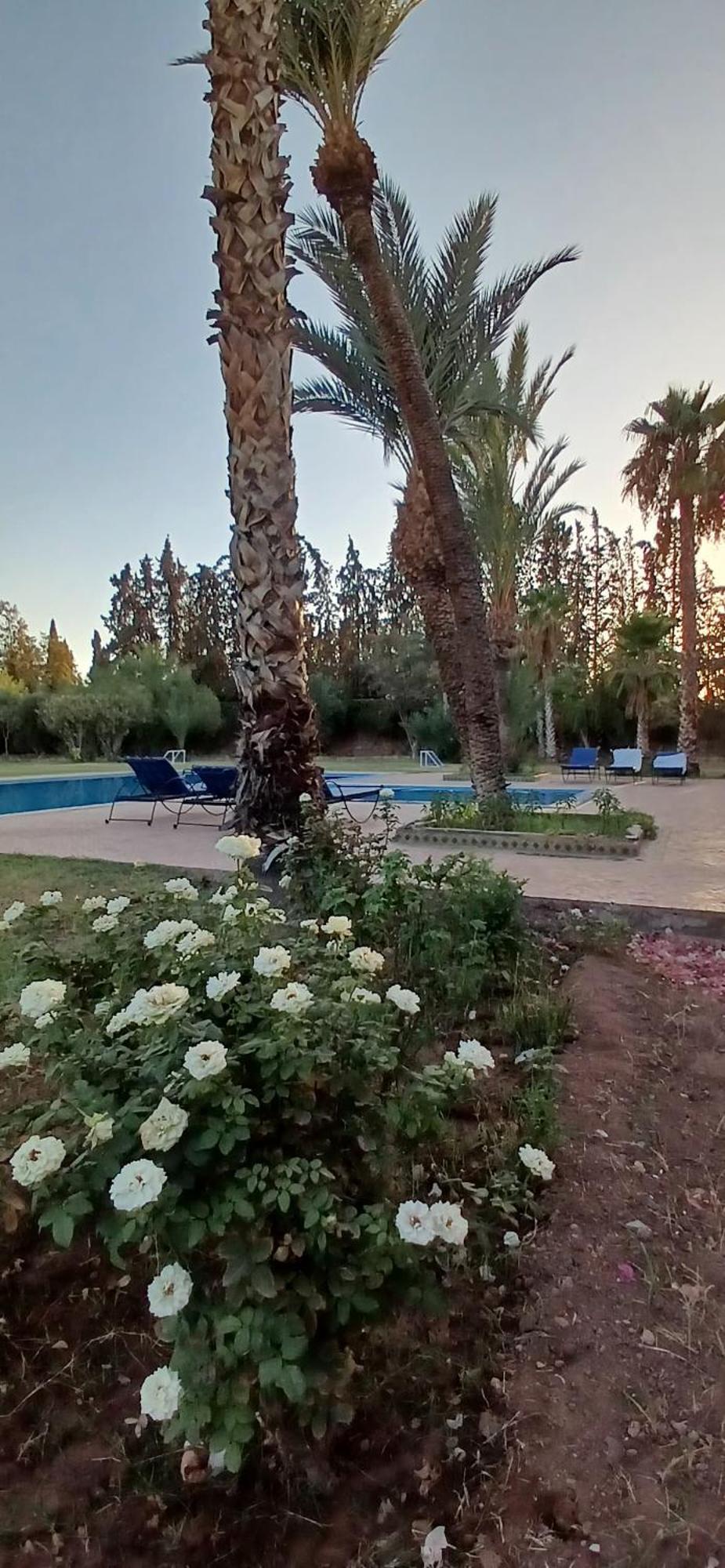 Rayan Marrakech Secteur Palmeraie Dans Propriete De 2 Hectares Avec Jardin Arbres Fruitiers