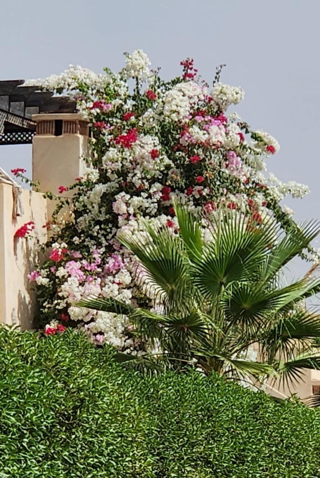 Pousada La Rose Des Sables