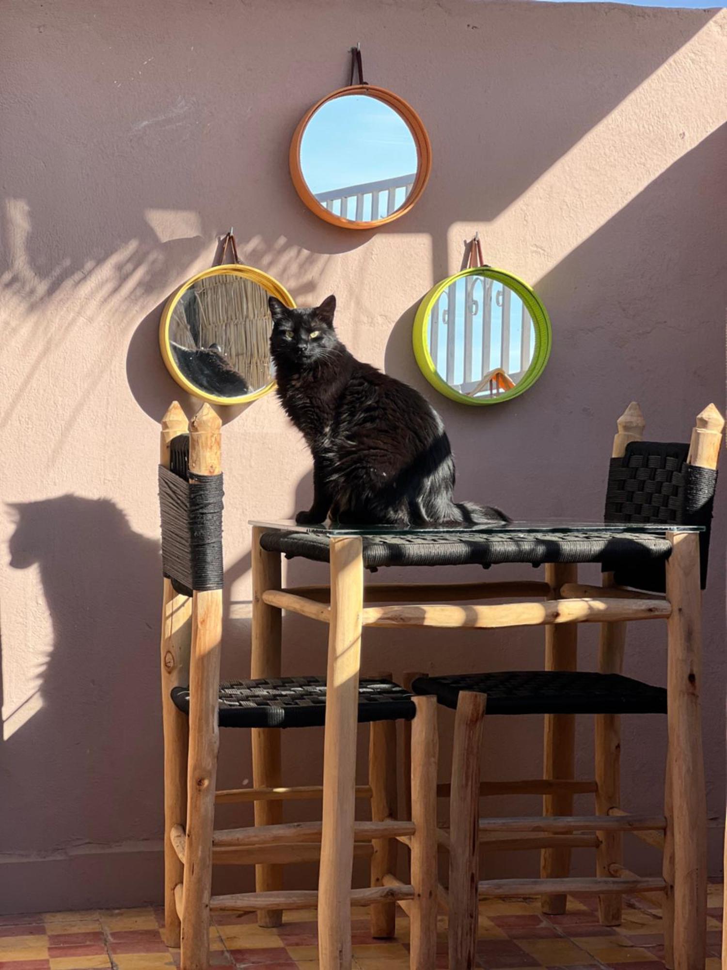 Peekaboo Marrakesh