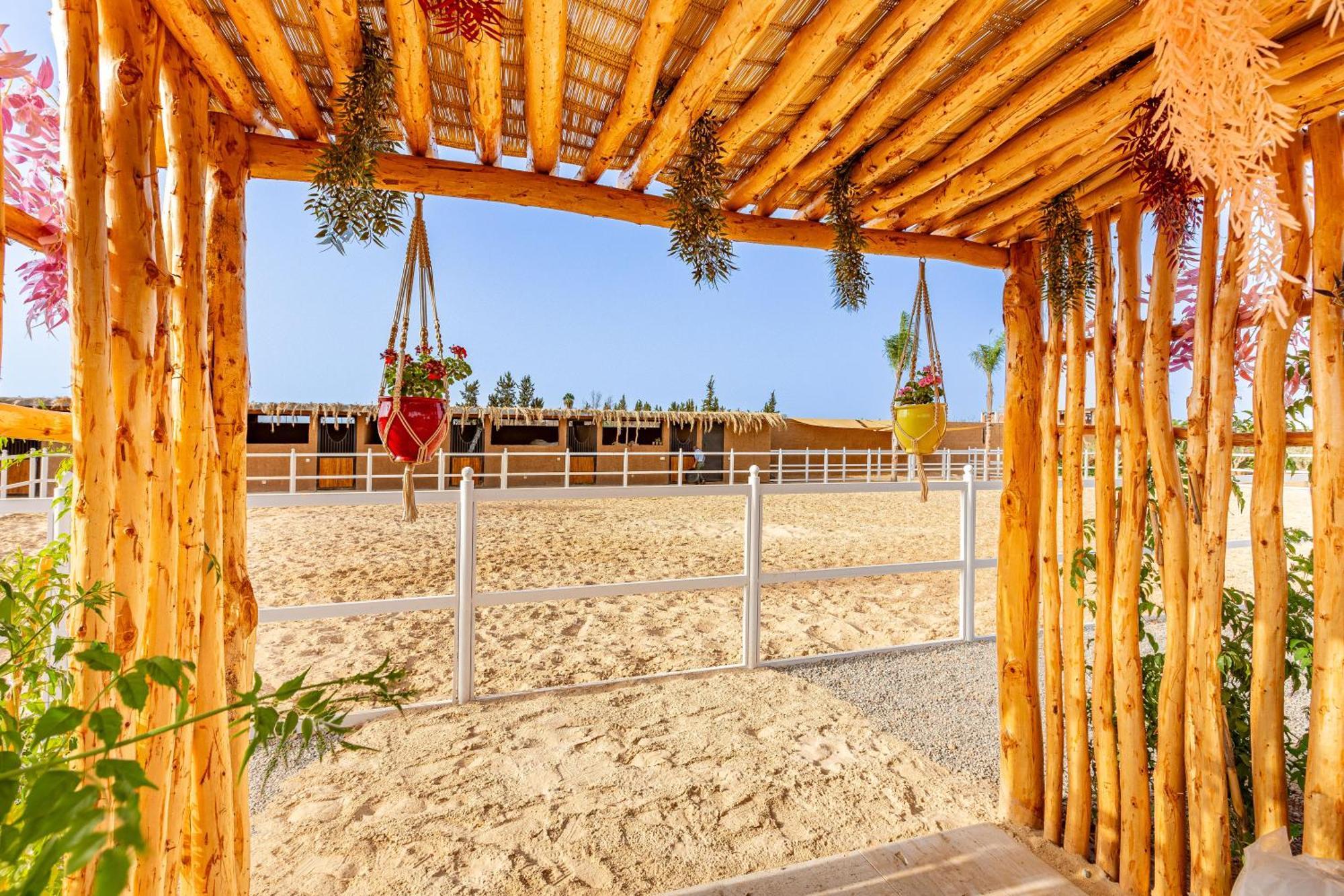 Tropicana, Elegeance, Exotisme,piscine,jacuzzi Villa