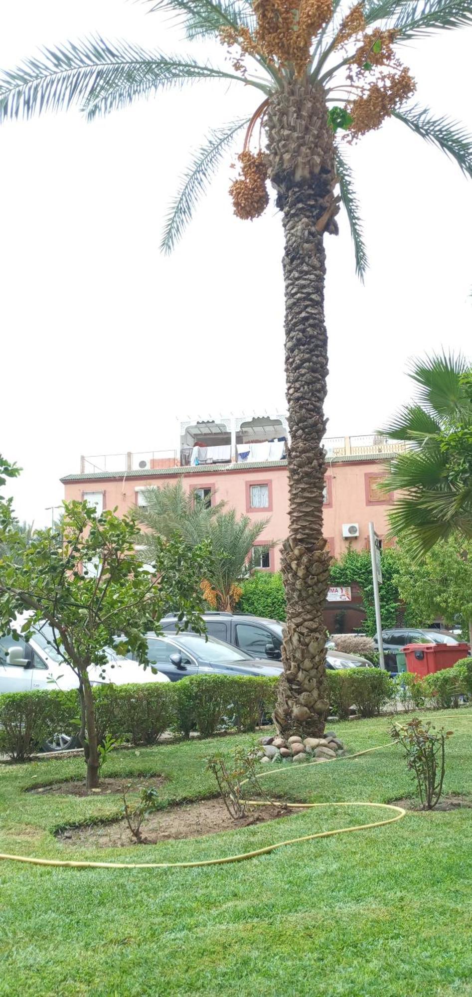 Apartment Red Moon Kech 2km Du Centre-ville Marrakesh