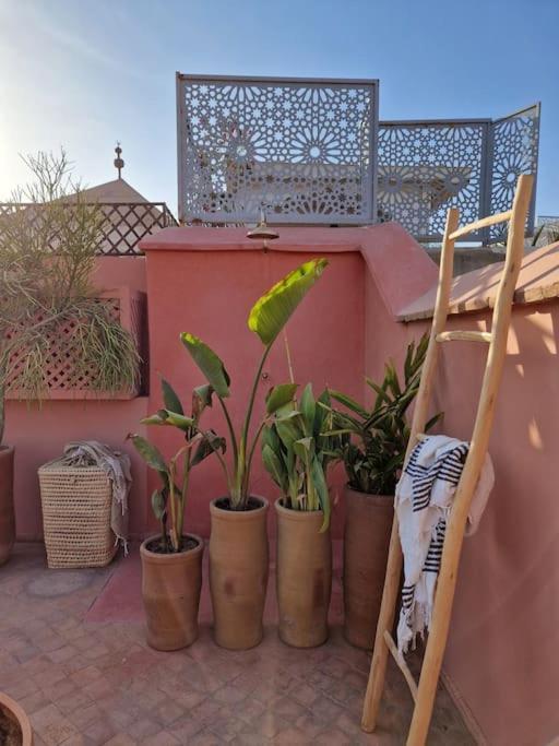 Samah Riad *