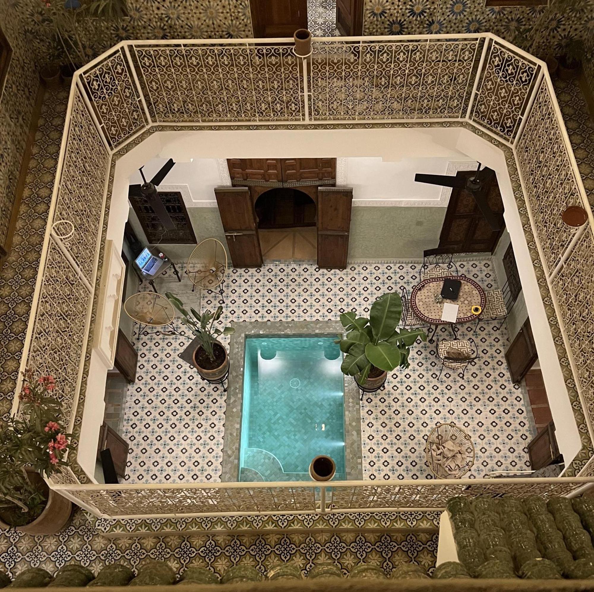 Panthera, Medina * Marraquexe