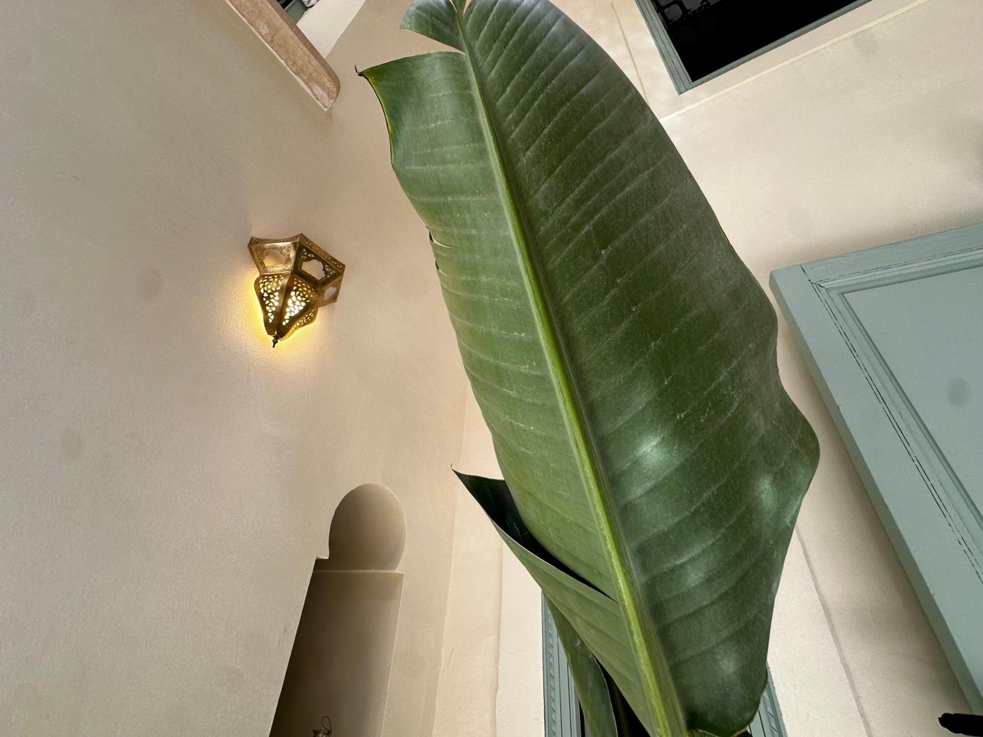 Holiday home Dar Ibo- Entire House- *
