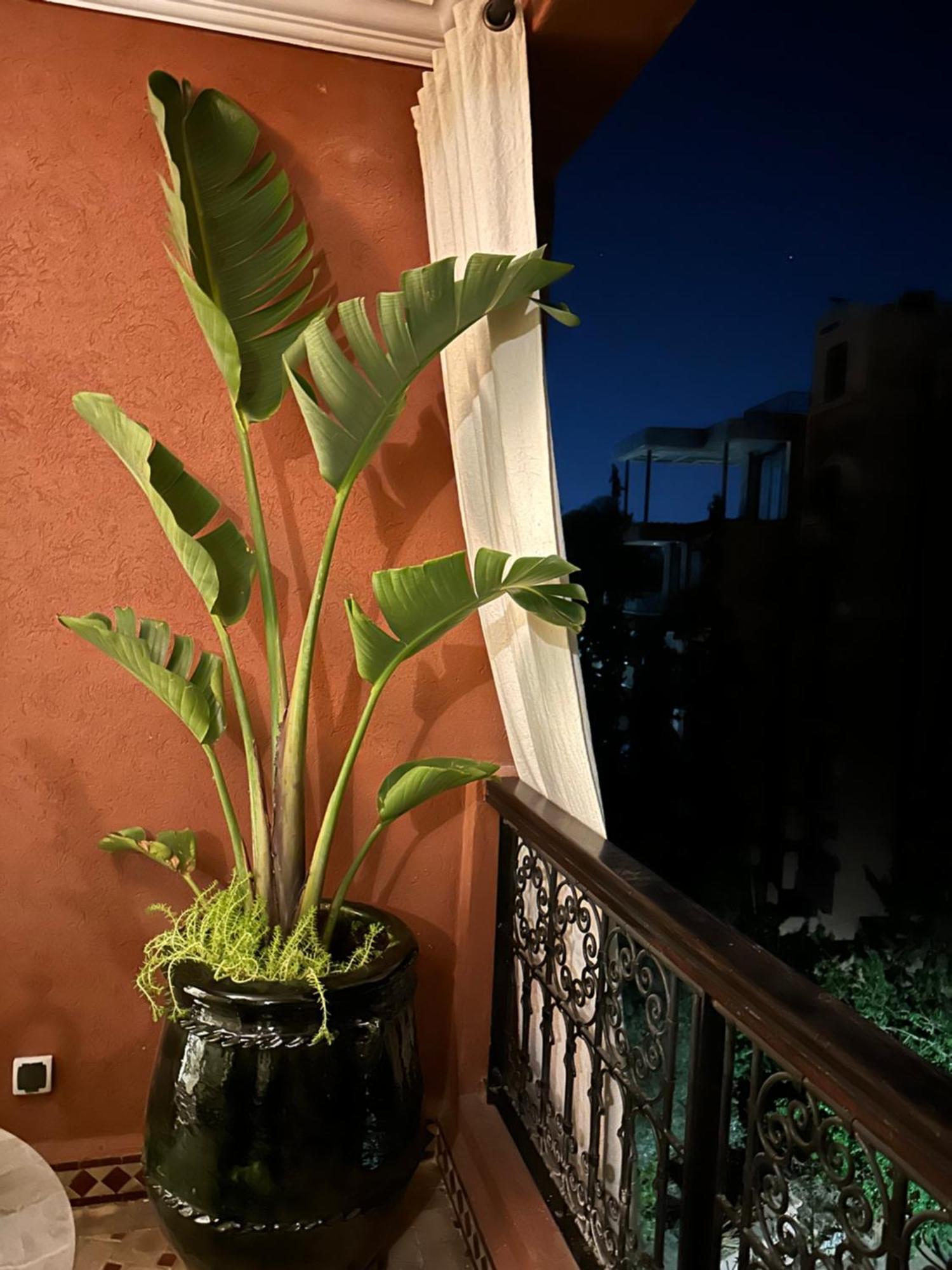 Apartment Prestige 2br Marrakesh