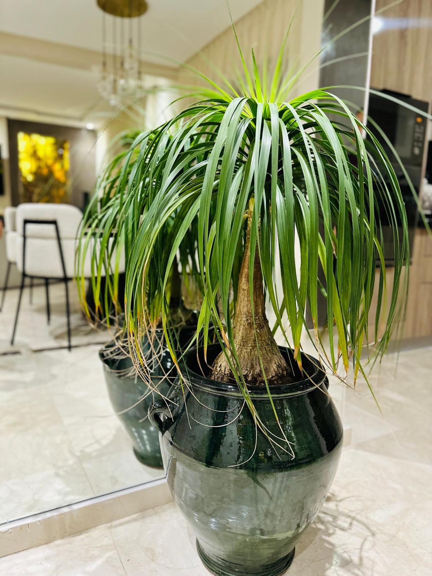 Apartment Prestige 2br Marrakesh
