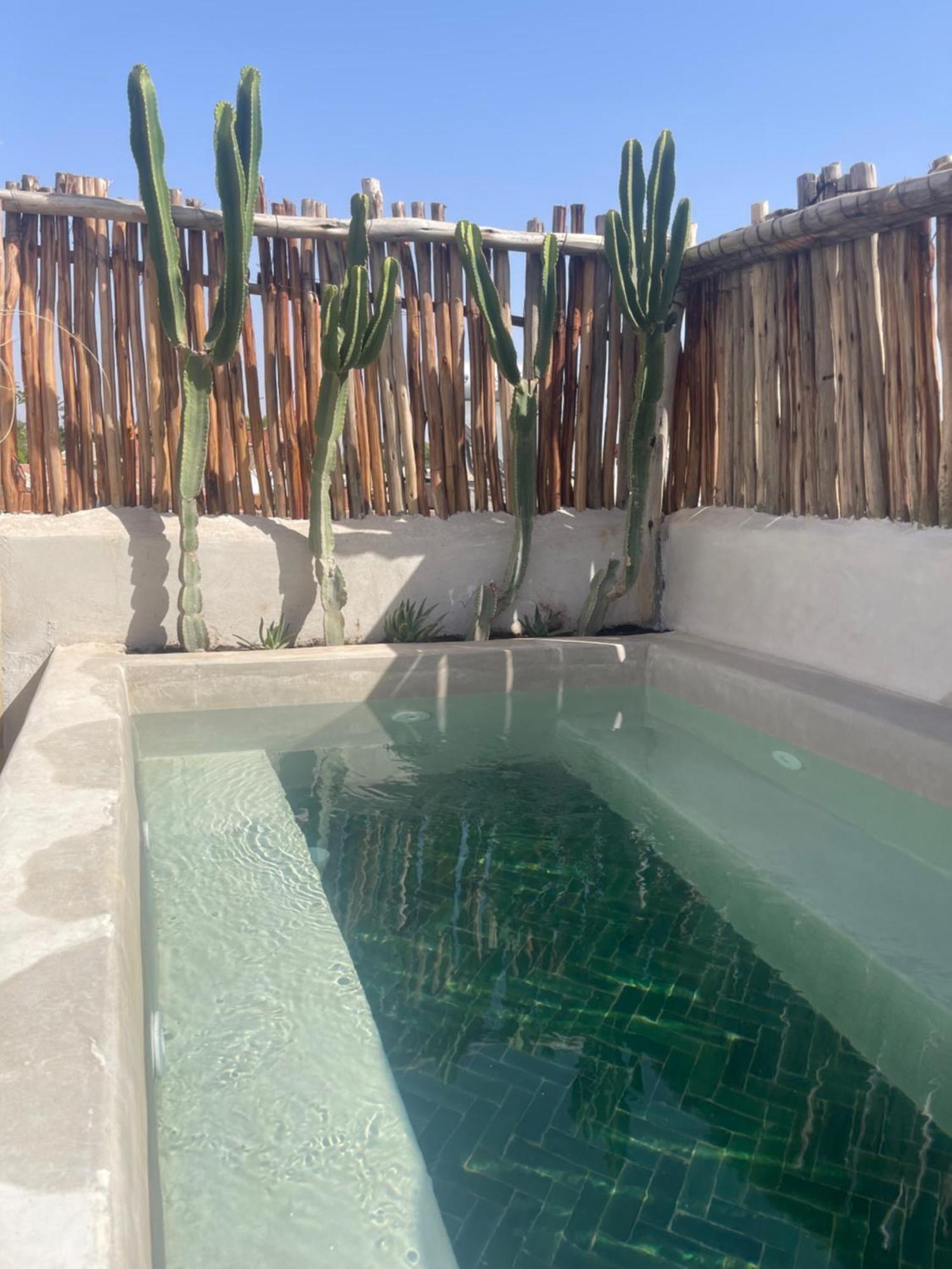 Nekhla Marrakesh
