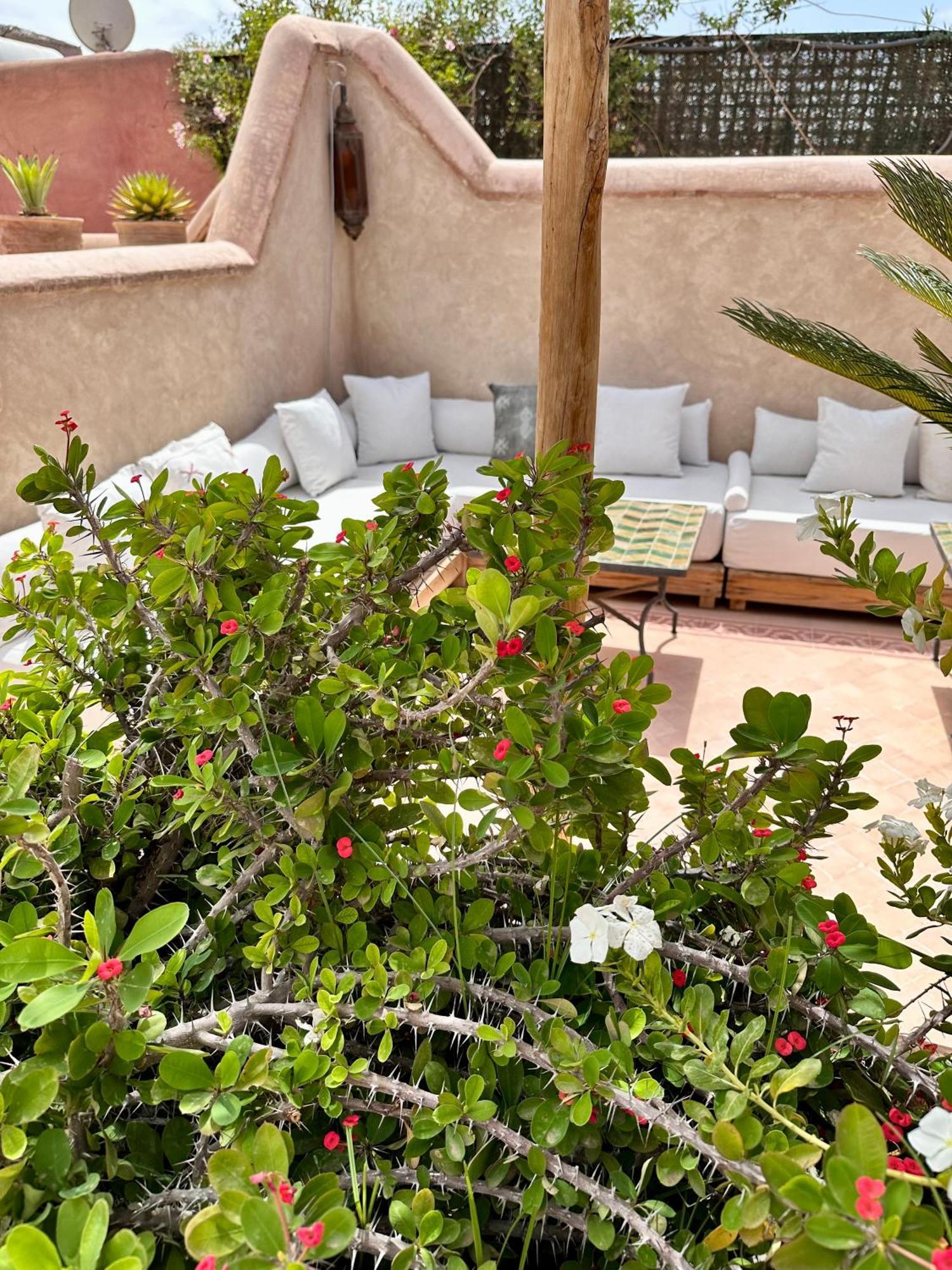 Hadika Maria Marrakesh