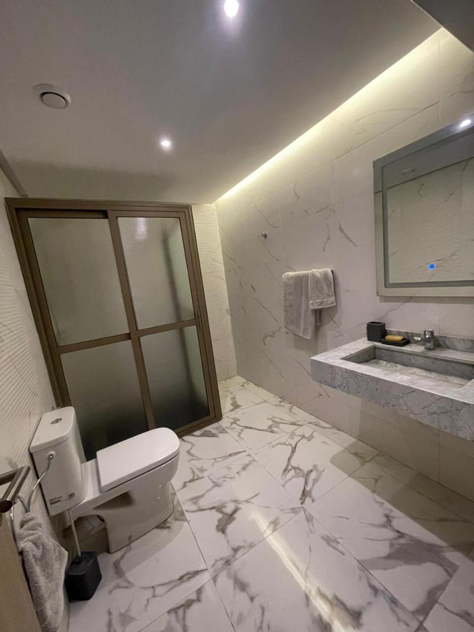 De Luxe 2 Piscine Apartment