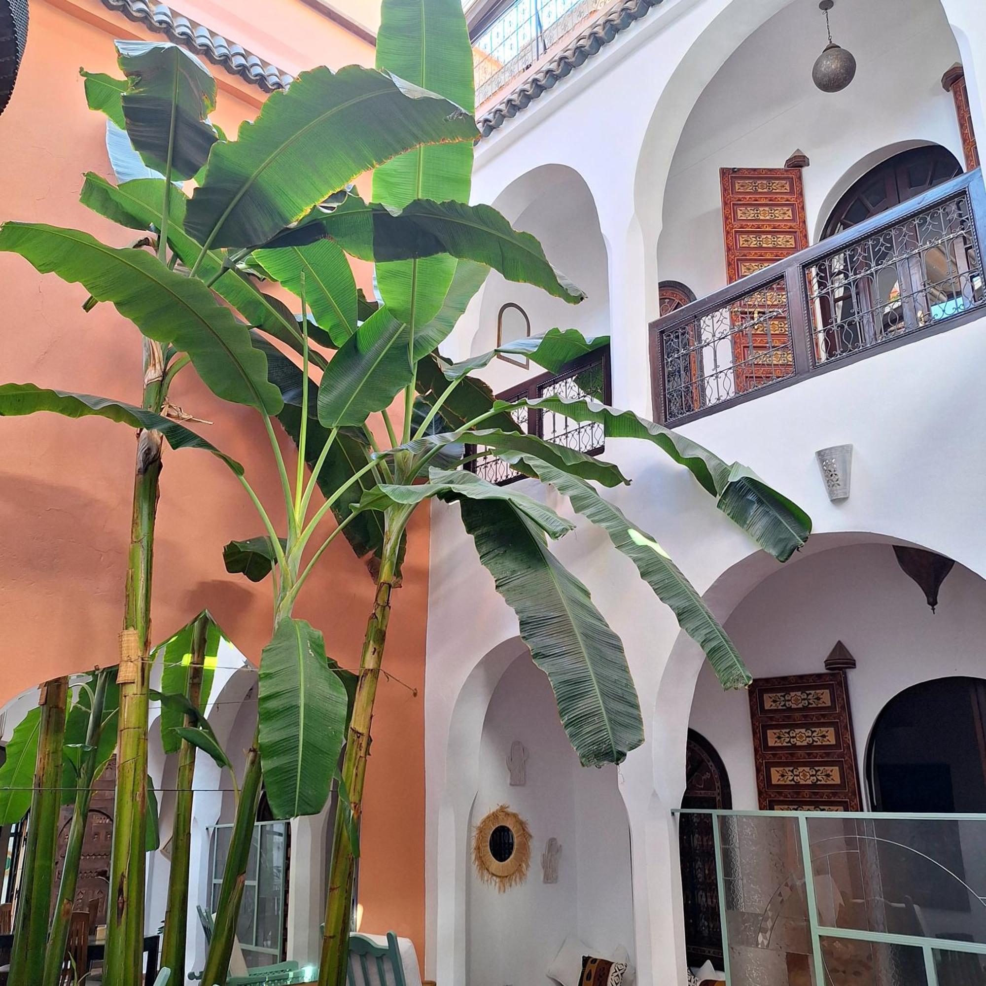 Riad El Grably Riad