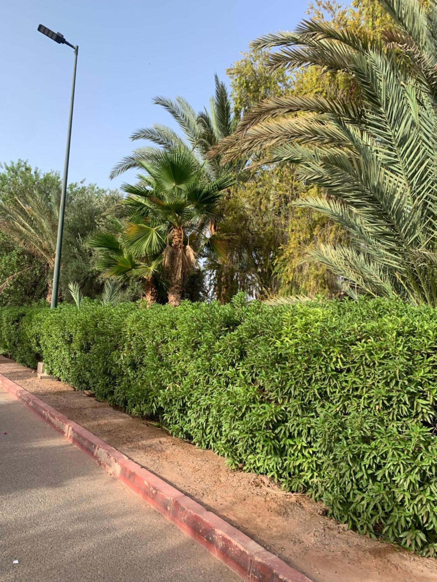 Villa Avec Piscine Privatisee A La Palmeraie Marrakesh
