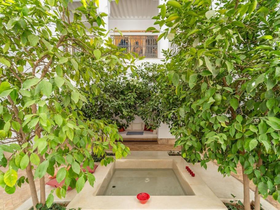 Сasa de vacaciones Peaceful Oasis Authentic