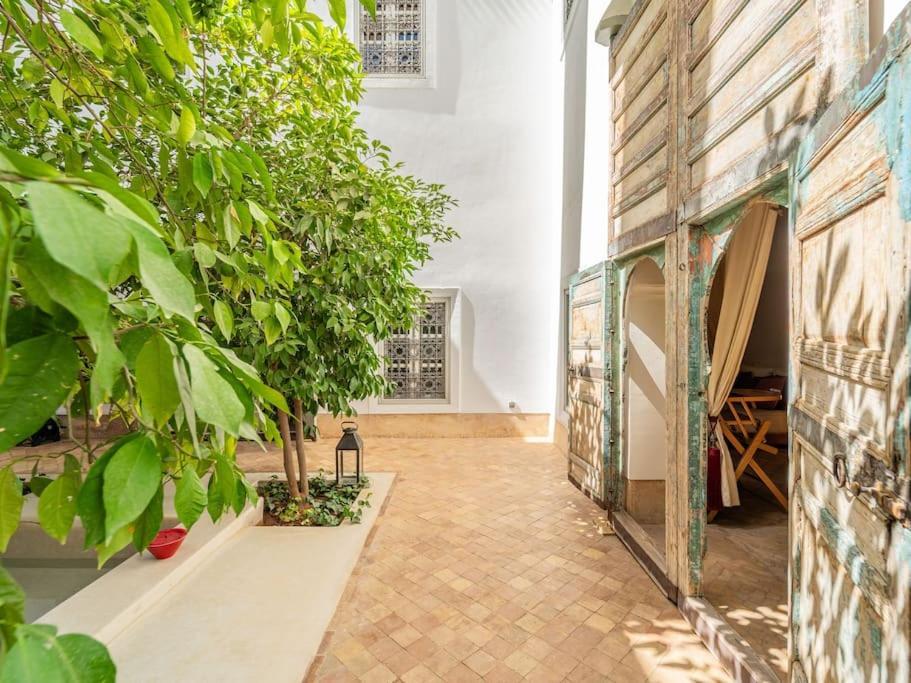 Peaceful Oasis Authentic