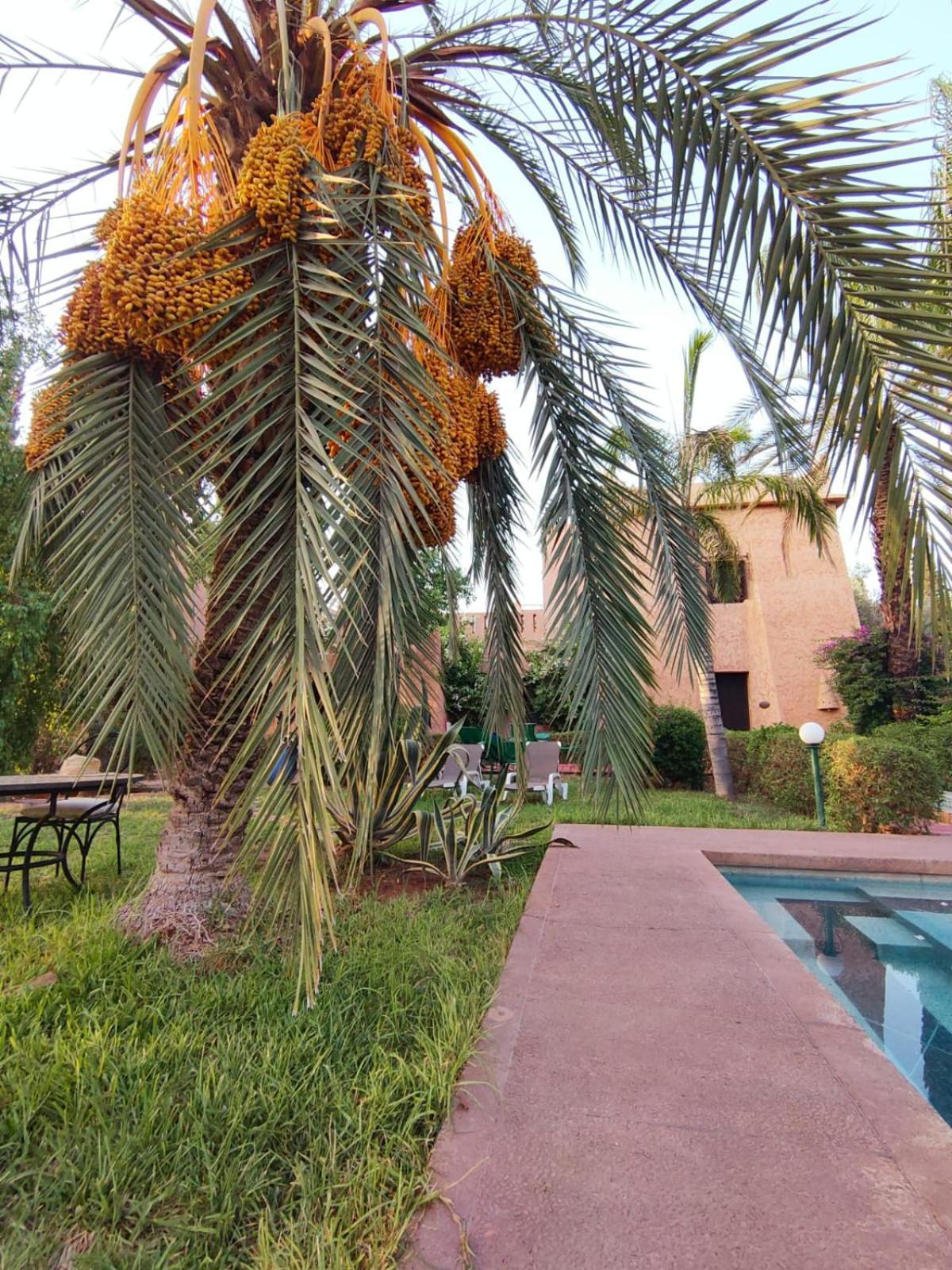 Sheherazade Marrakech