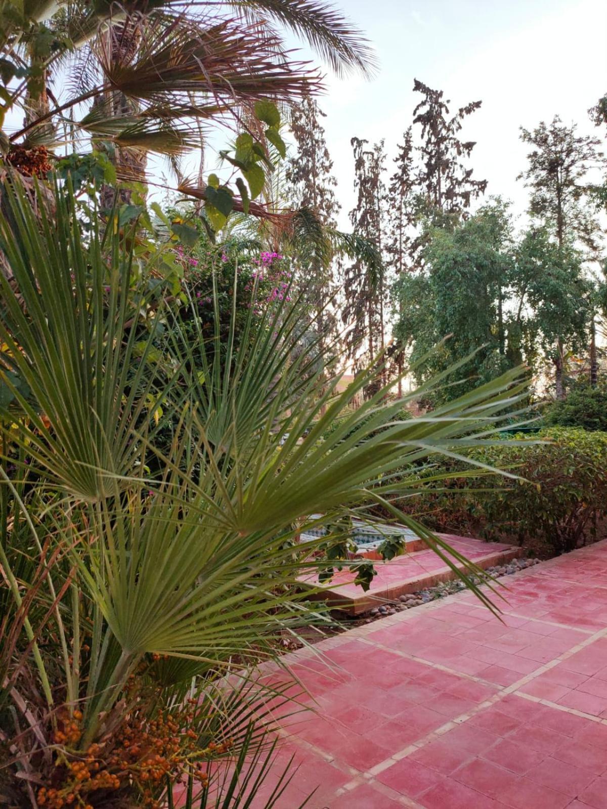 Sheherazade Marrakech Maison d'hôtes