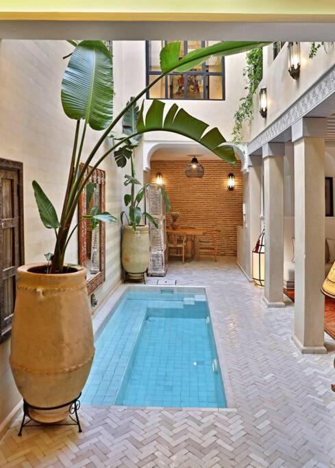 Dar Tayri Riad