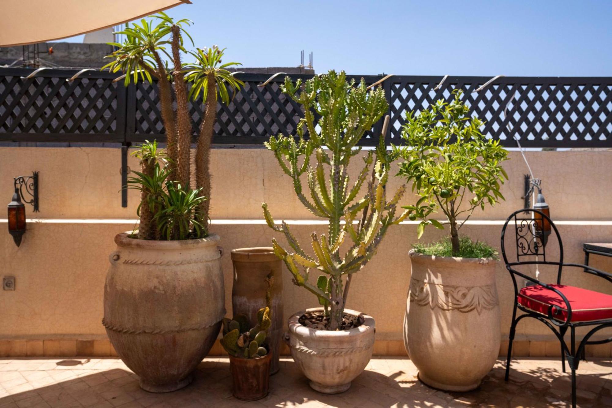 Dowaya Holiday home Marrakesh