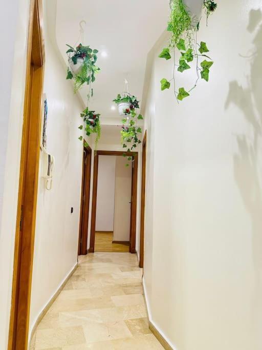 Apartment Cosy House Marrakech Semlalia - Gueliz Center Marrakesh