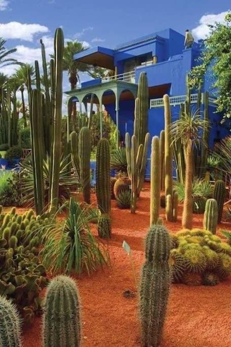 Jardin Majorelle Apartamento