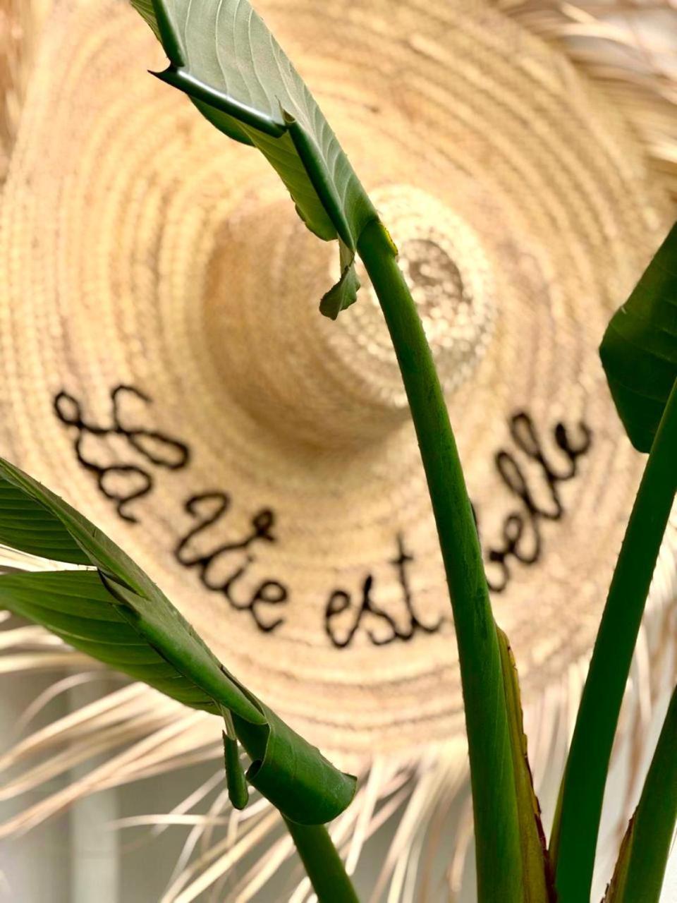 Riad Dollar Des Sables & Spa Riad