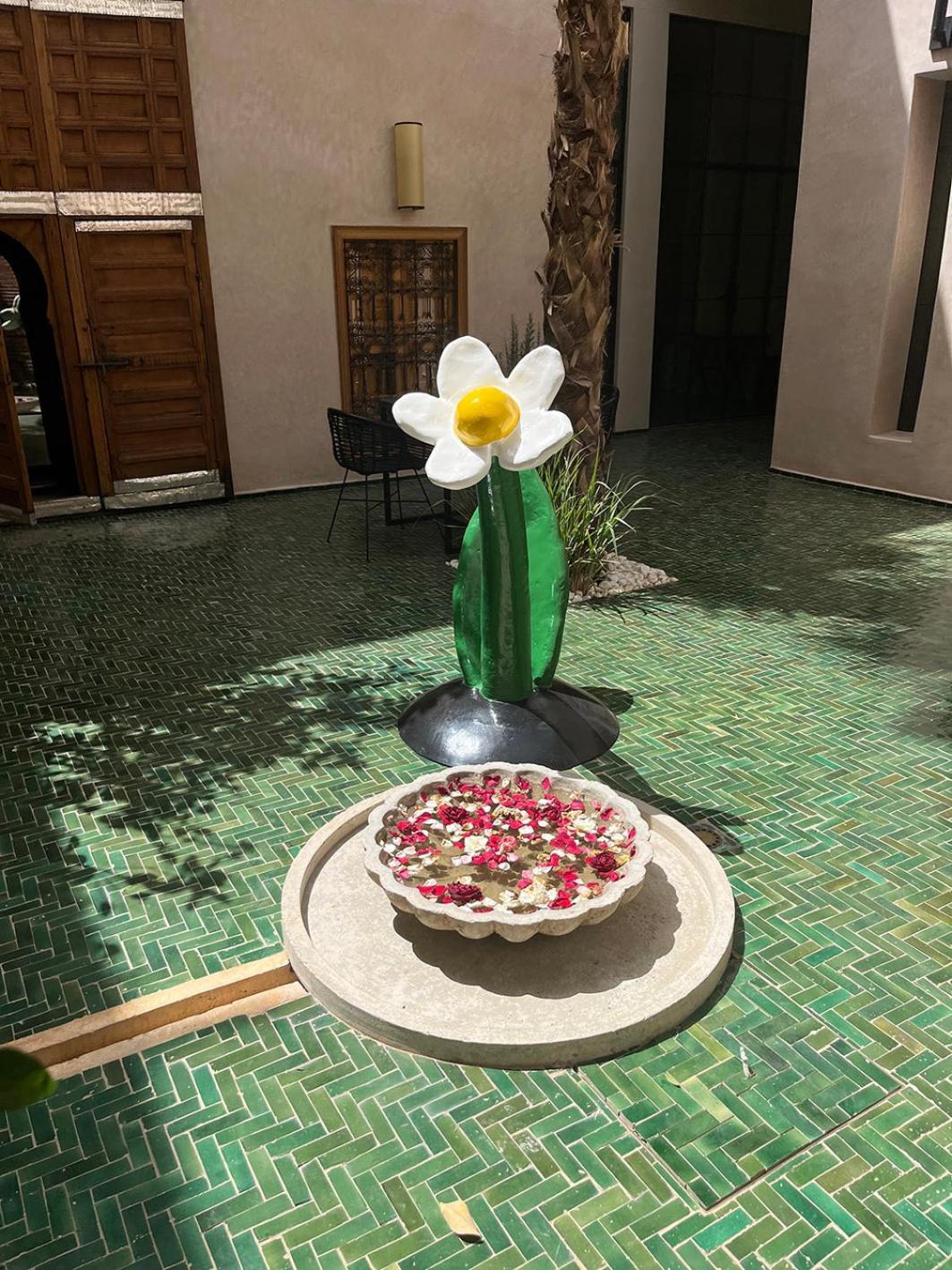 Lion Rouge Marrakesh