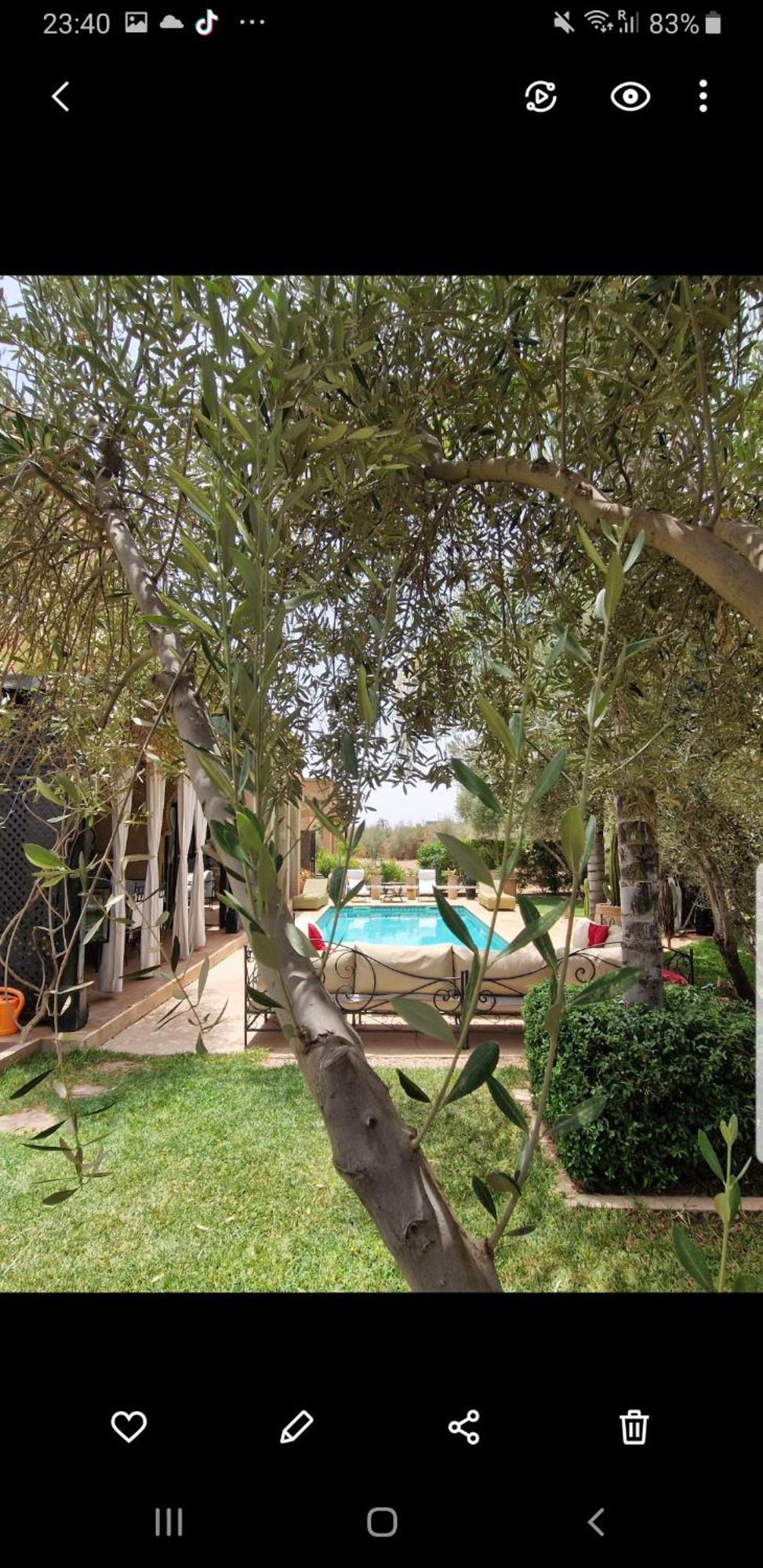 Boheme Havre De Paix, Piscine Chauffee,4 Villa Marrakesh