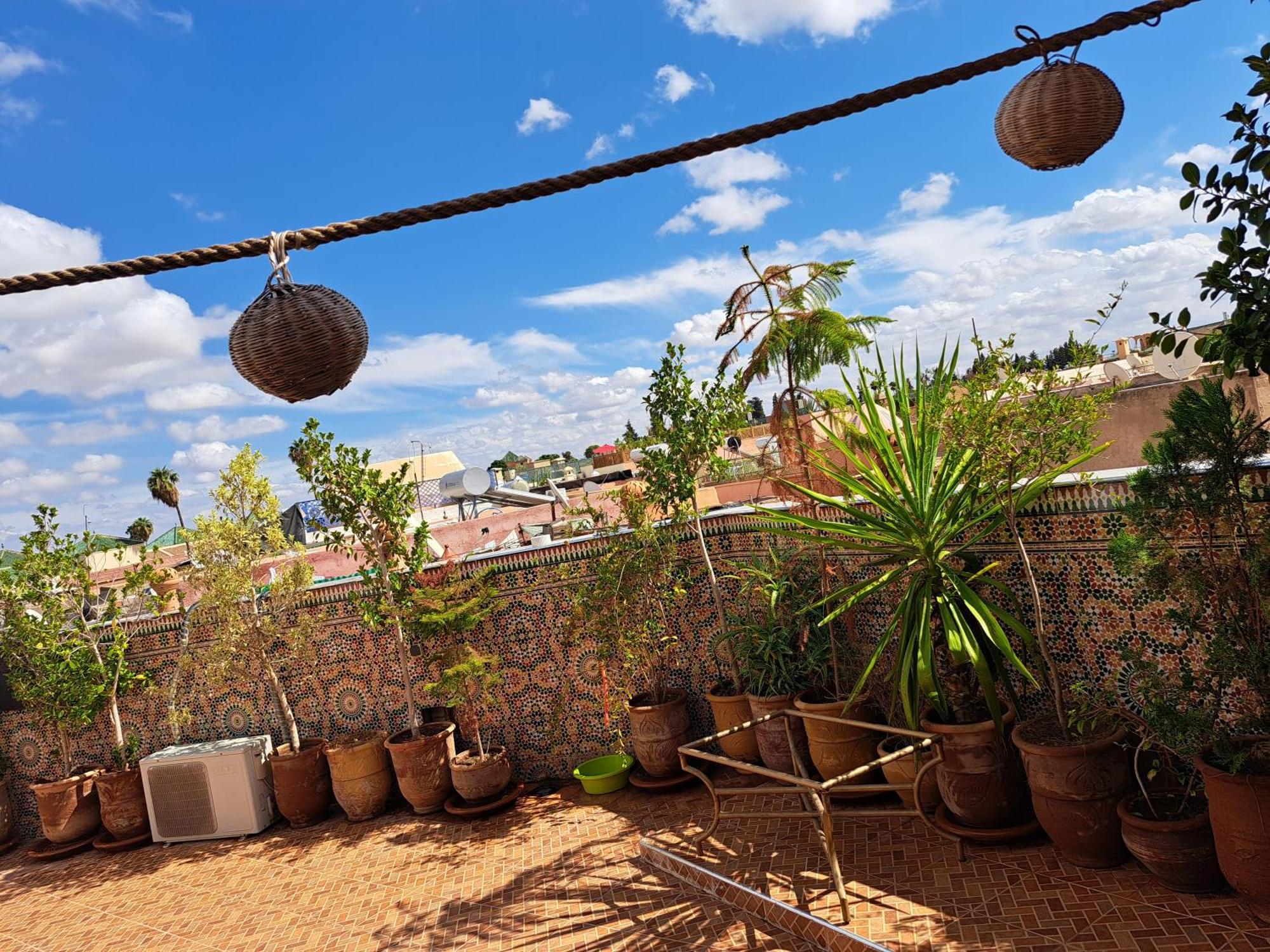 Riad Rooftop Terrace Green House Marrakesh