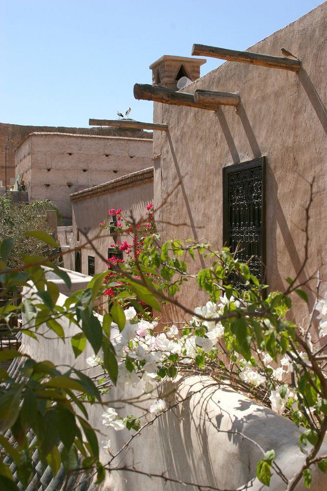 Palmier (adults Only) Riad