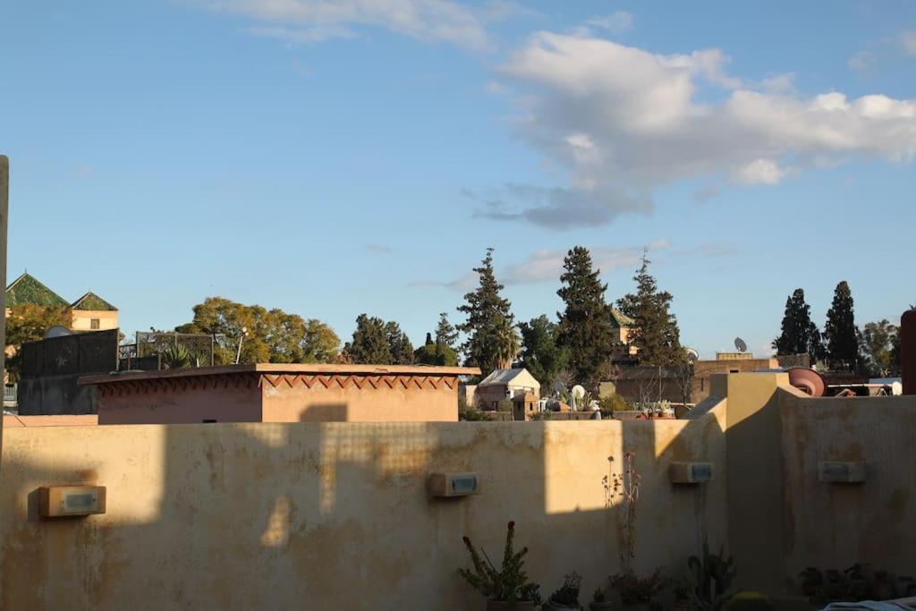 Mondriah In Exclusivity Only For * Marrakesh