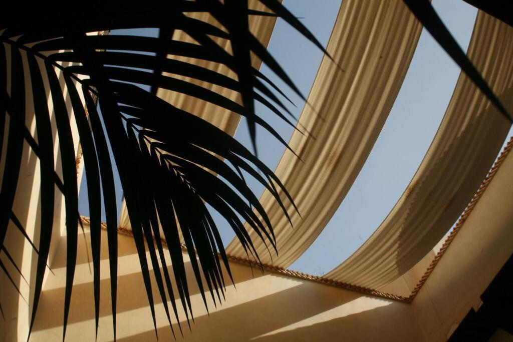 Mondriah In Exclusivity Only For Marrakesh