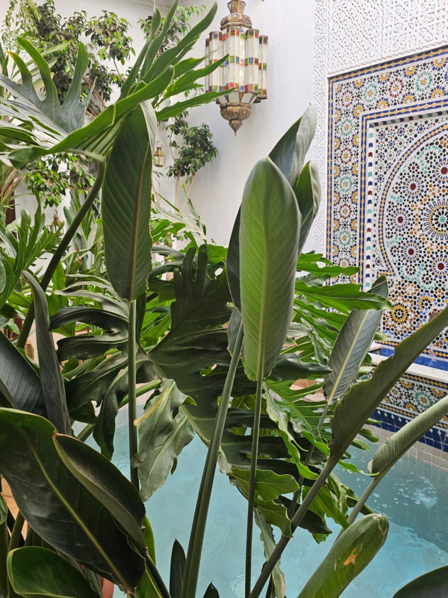 Riad Clefs D'orient