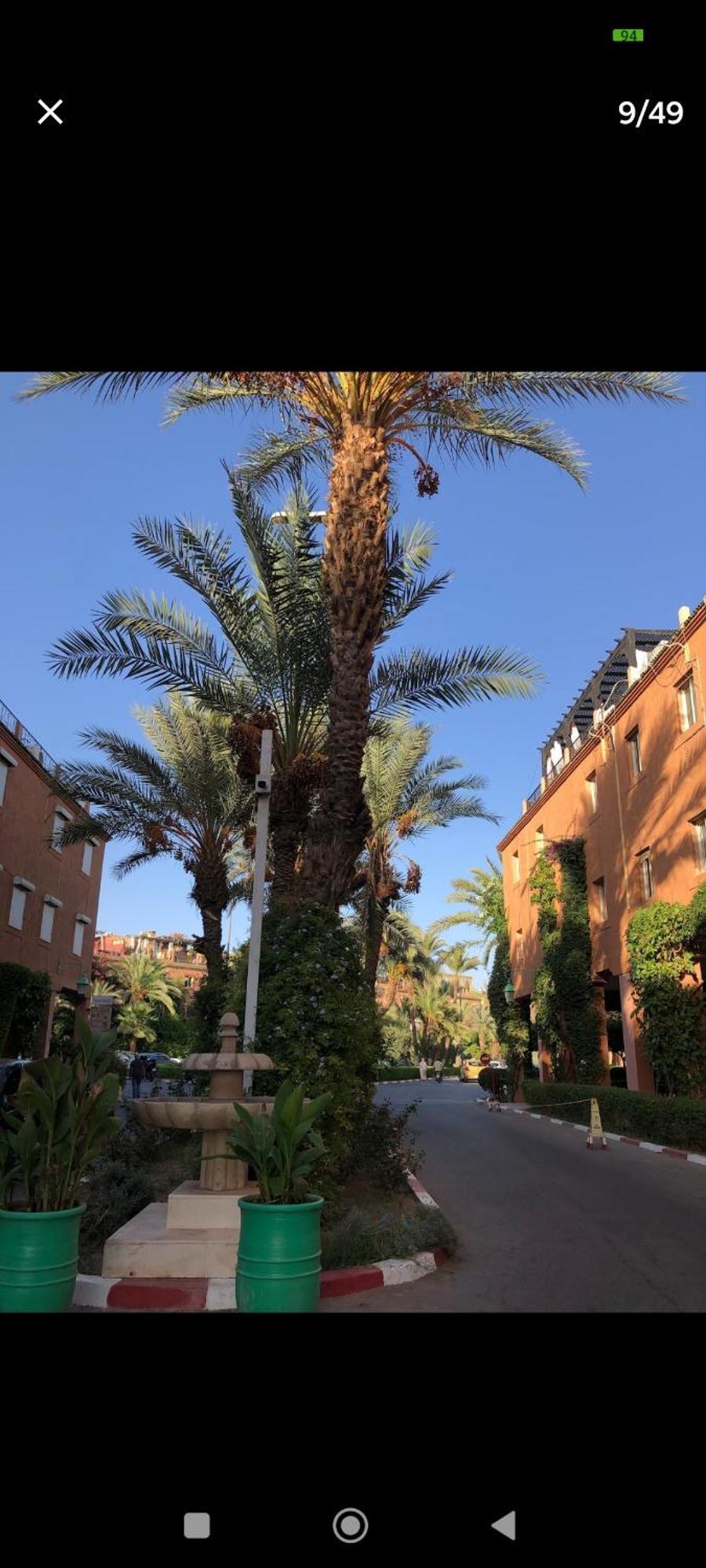 Riad Benhamo2