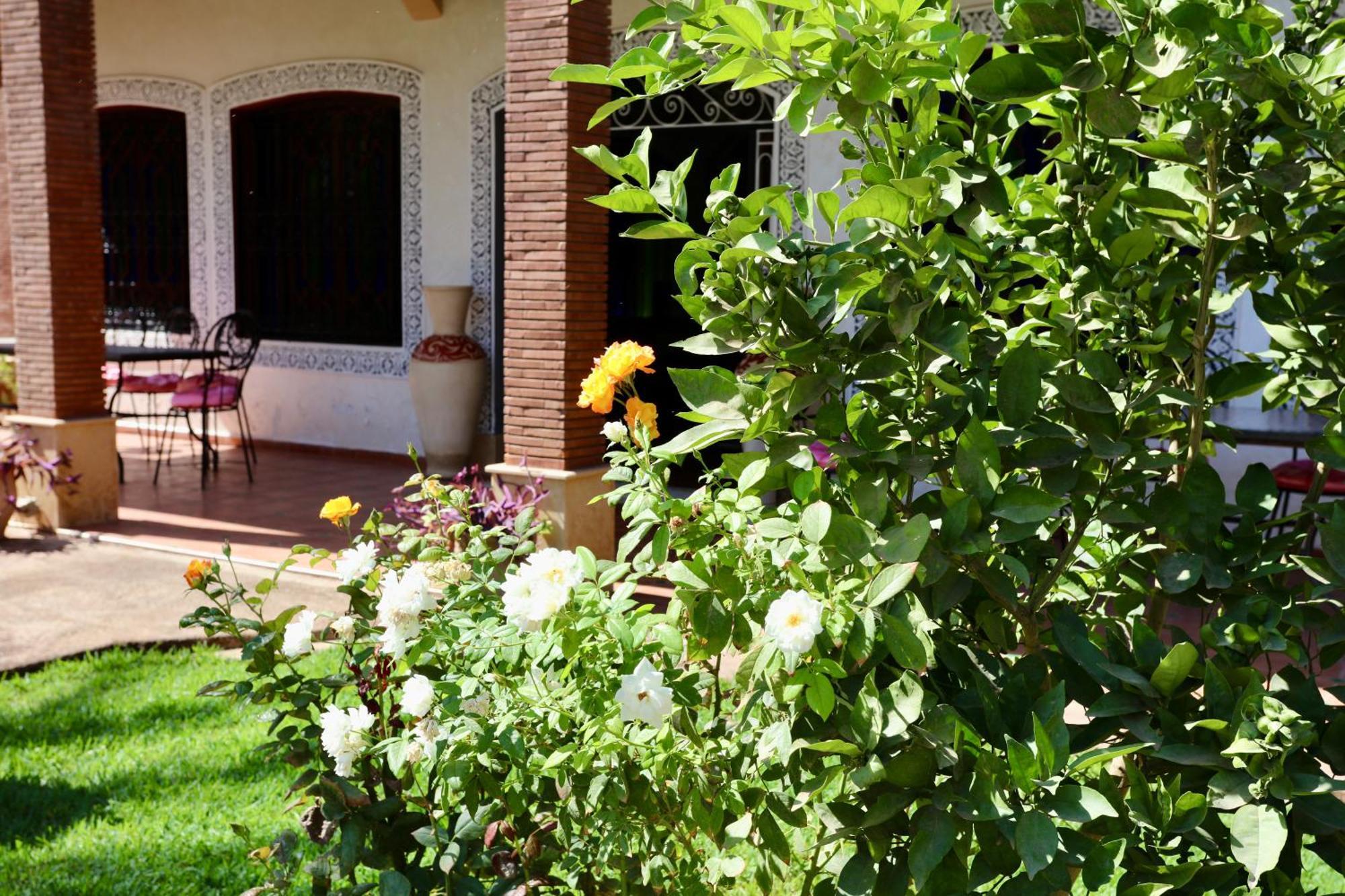 Maison D'hote Immo-bouregba *