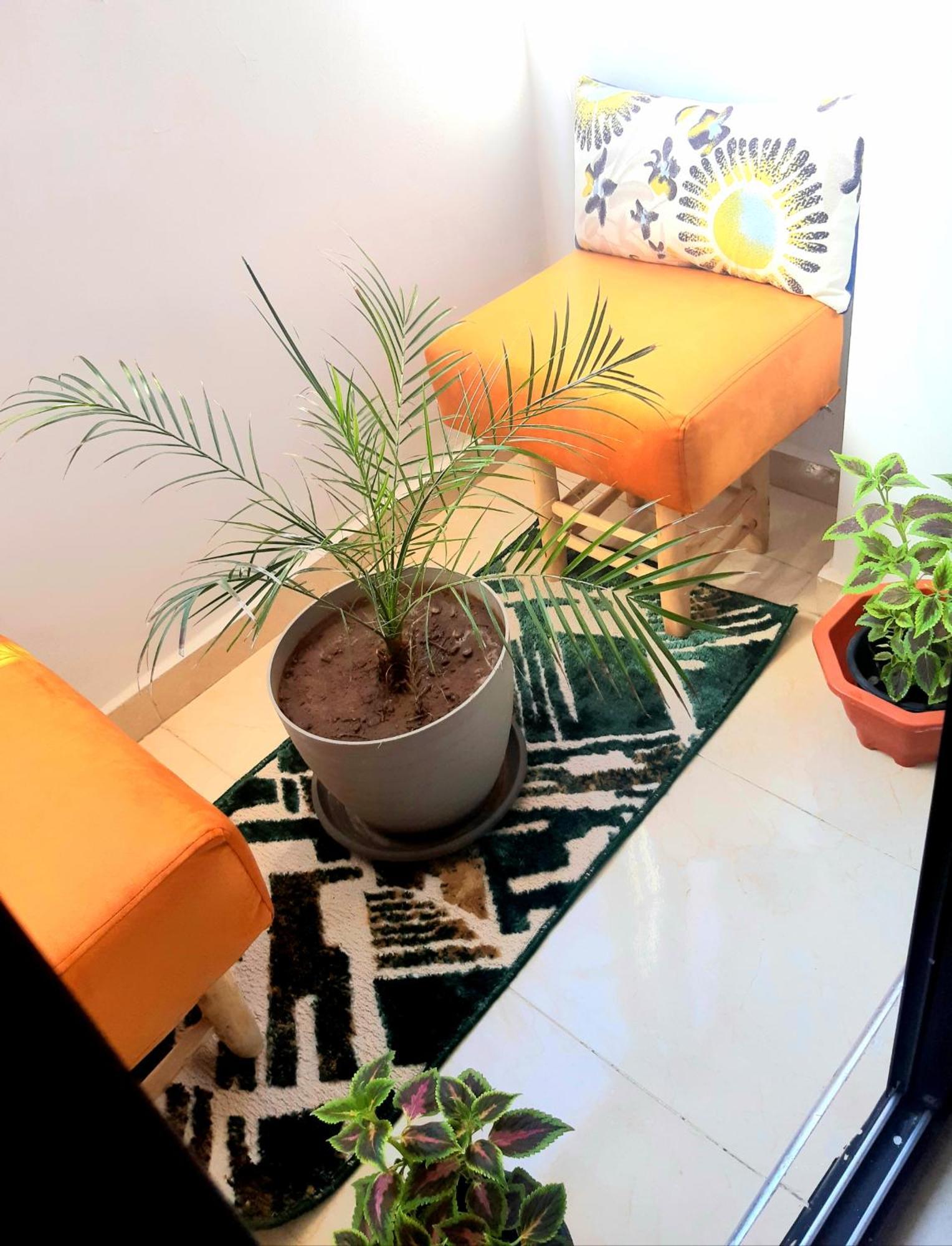 Elegant Au Coeur De La 5min A Gueliz Apartment *