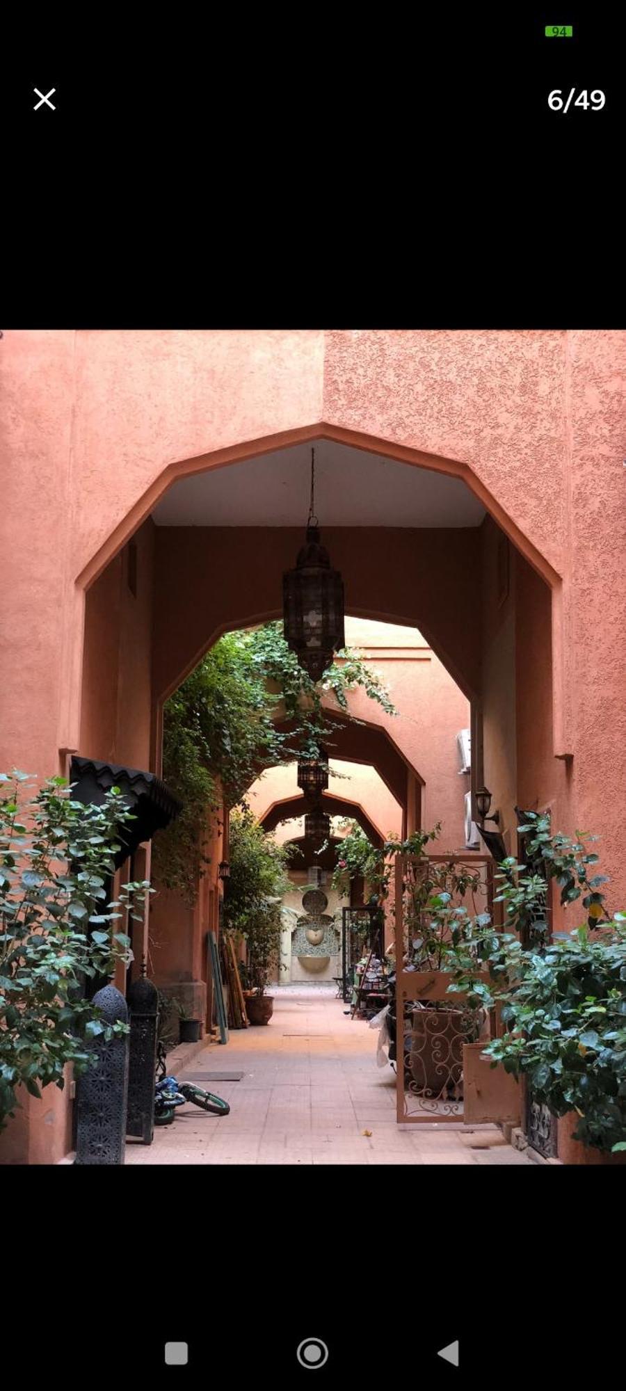 Benhamo2 Riad