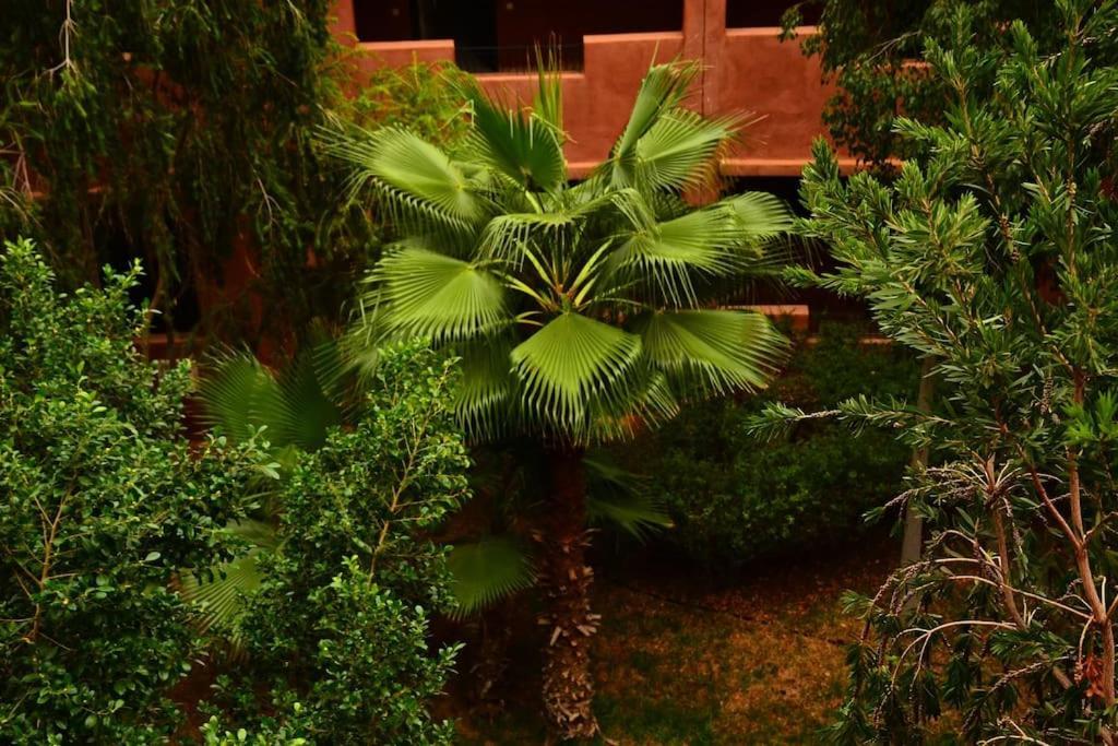 Apartment Oasis Aux Palmeraies A Marrakech *
