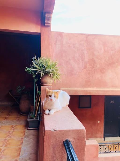 Oasis Aux Palmeraies A Marrakech Apartment Marrakesh