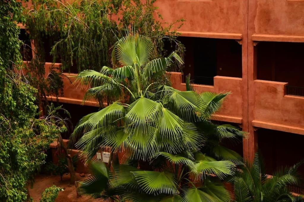 Oasis Aux Palmeraies A Marrakech Apartment Marrakesh