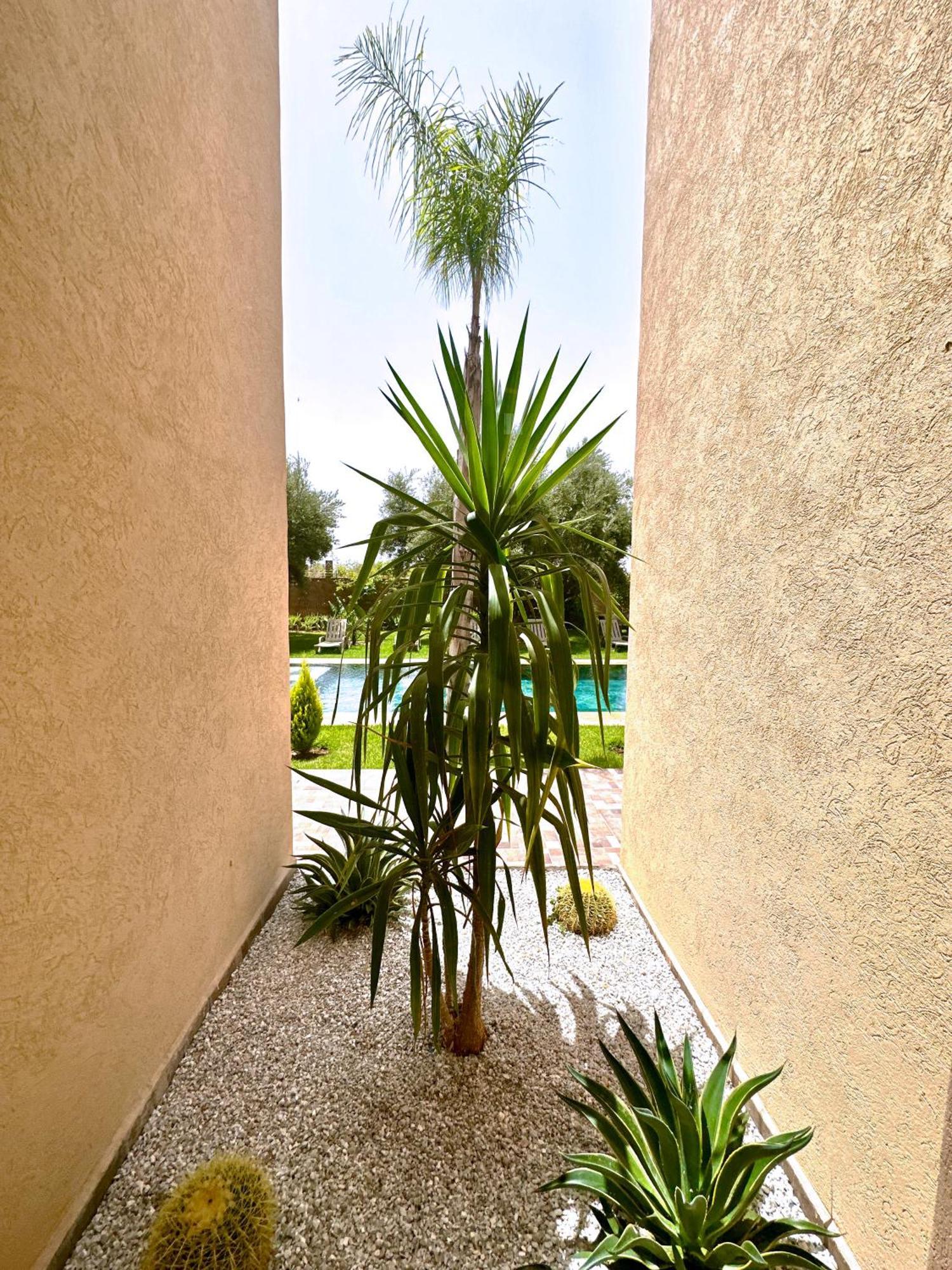 Villa Kamelia & Piscine & Hammam *