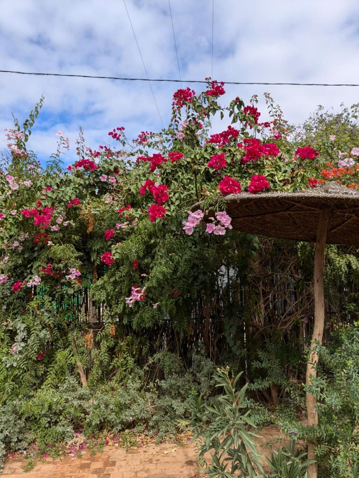 Casa de férias Dar Saafia