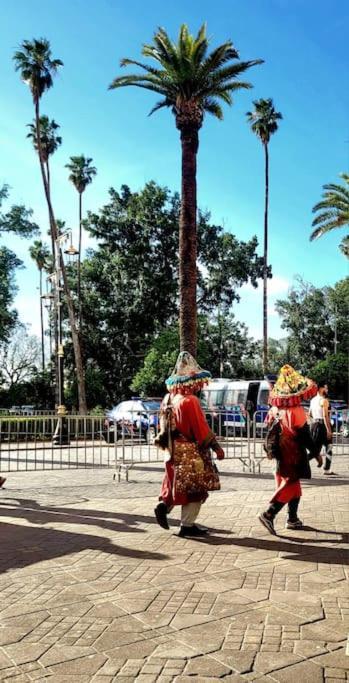 In Der Beruehmten Ysl Street Seulement A 1 Personne Ou Couple Marie Ou Touristes Etrangers Apartment Marrakesh