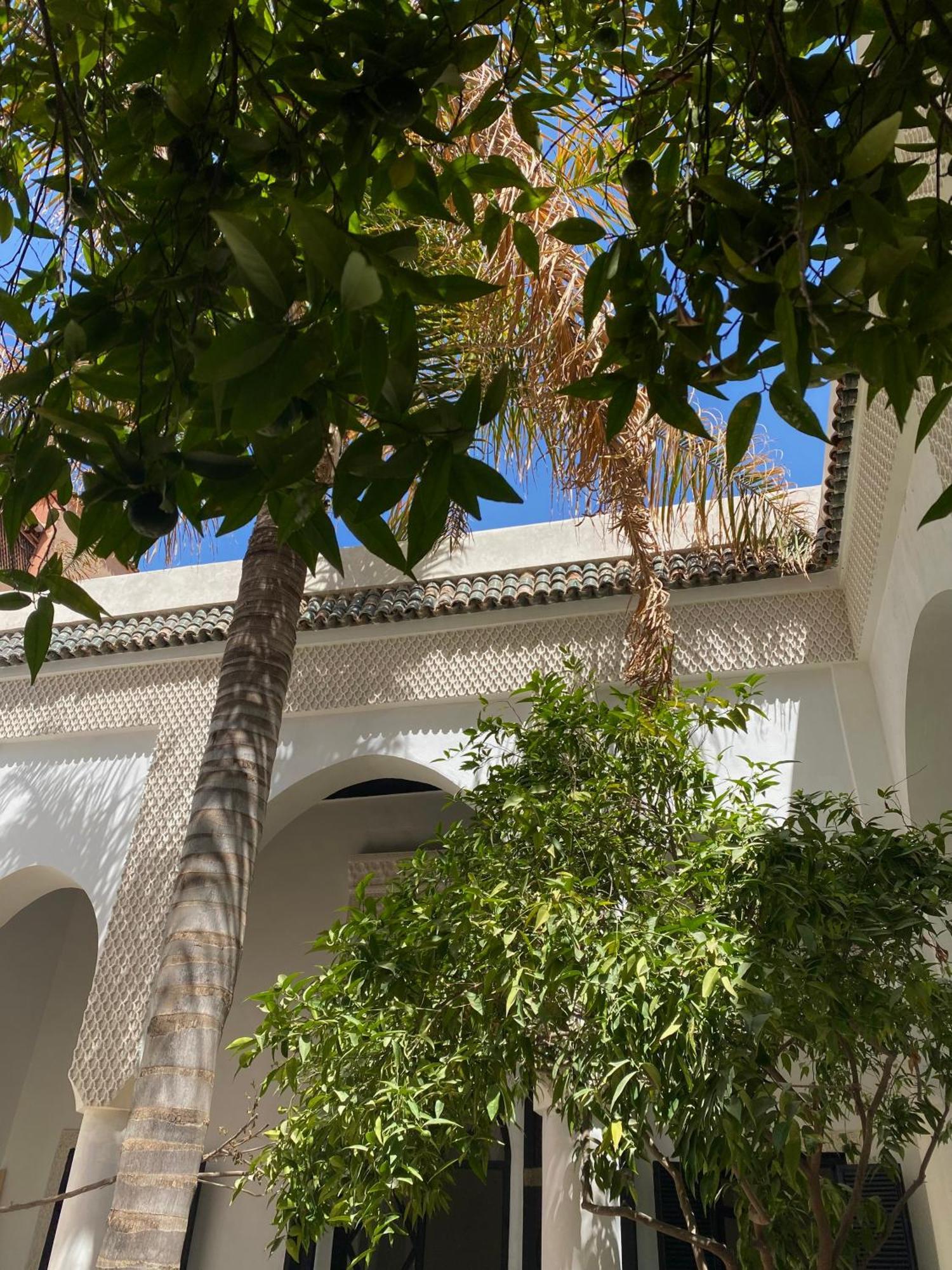 Akasia * Marrakesh