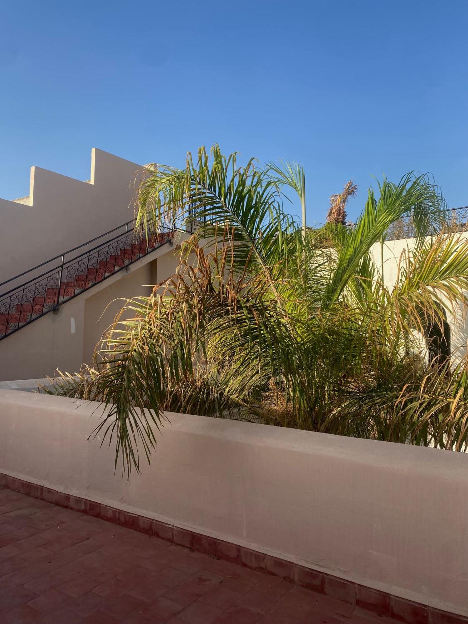 Akasia Riad