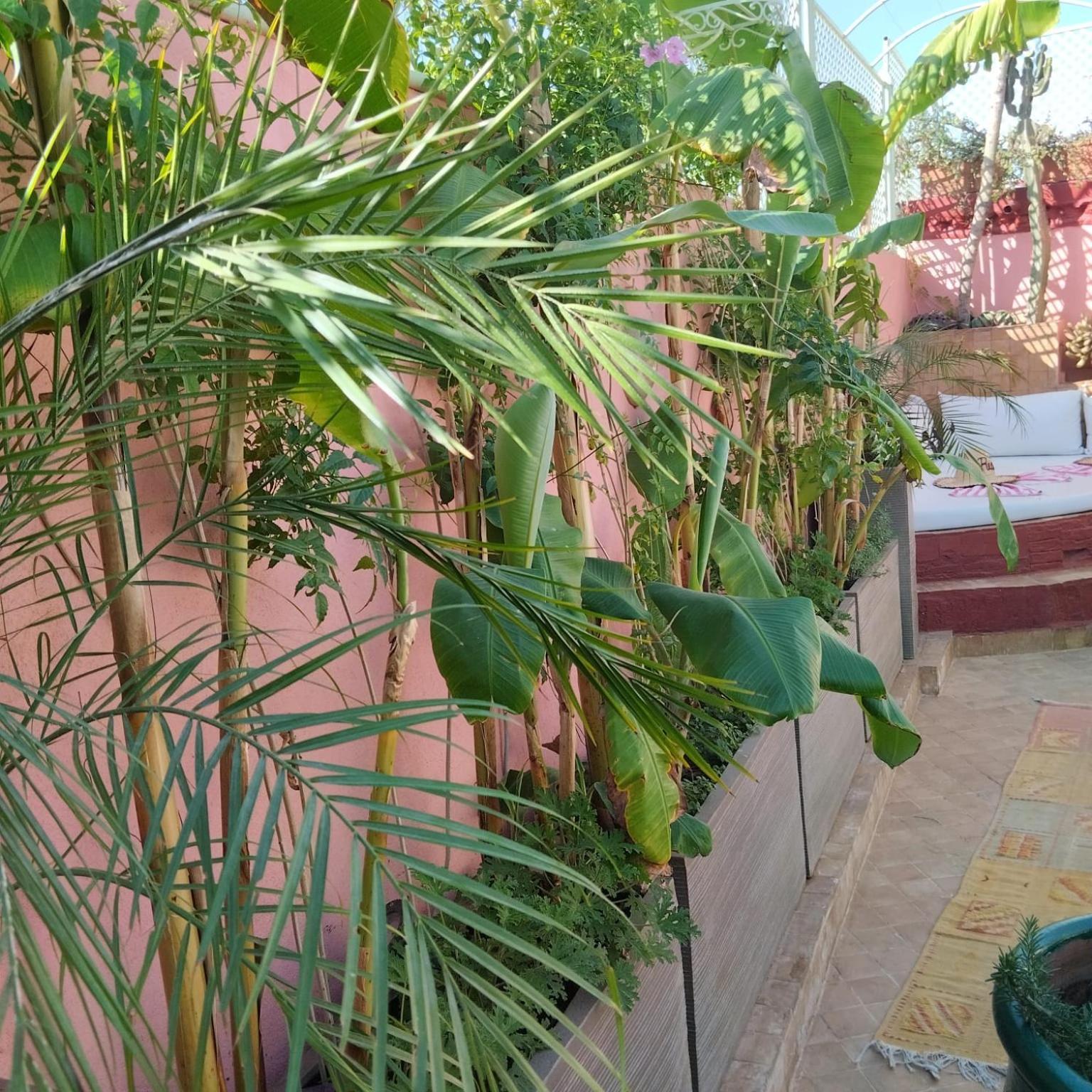 Riad Laith (adults Only) Marraquexe