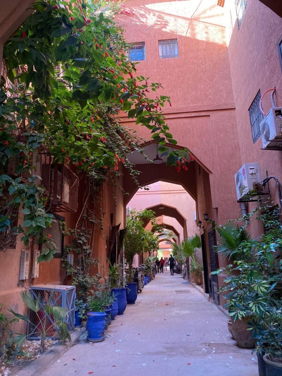 Qaria Syahia Camelia * Marrakesh