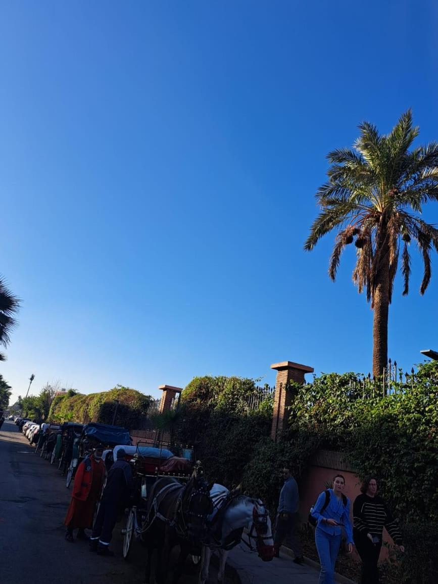 Riad Guests House With View Rooftop *