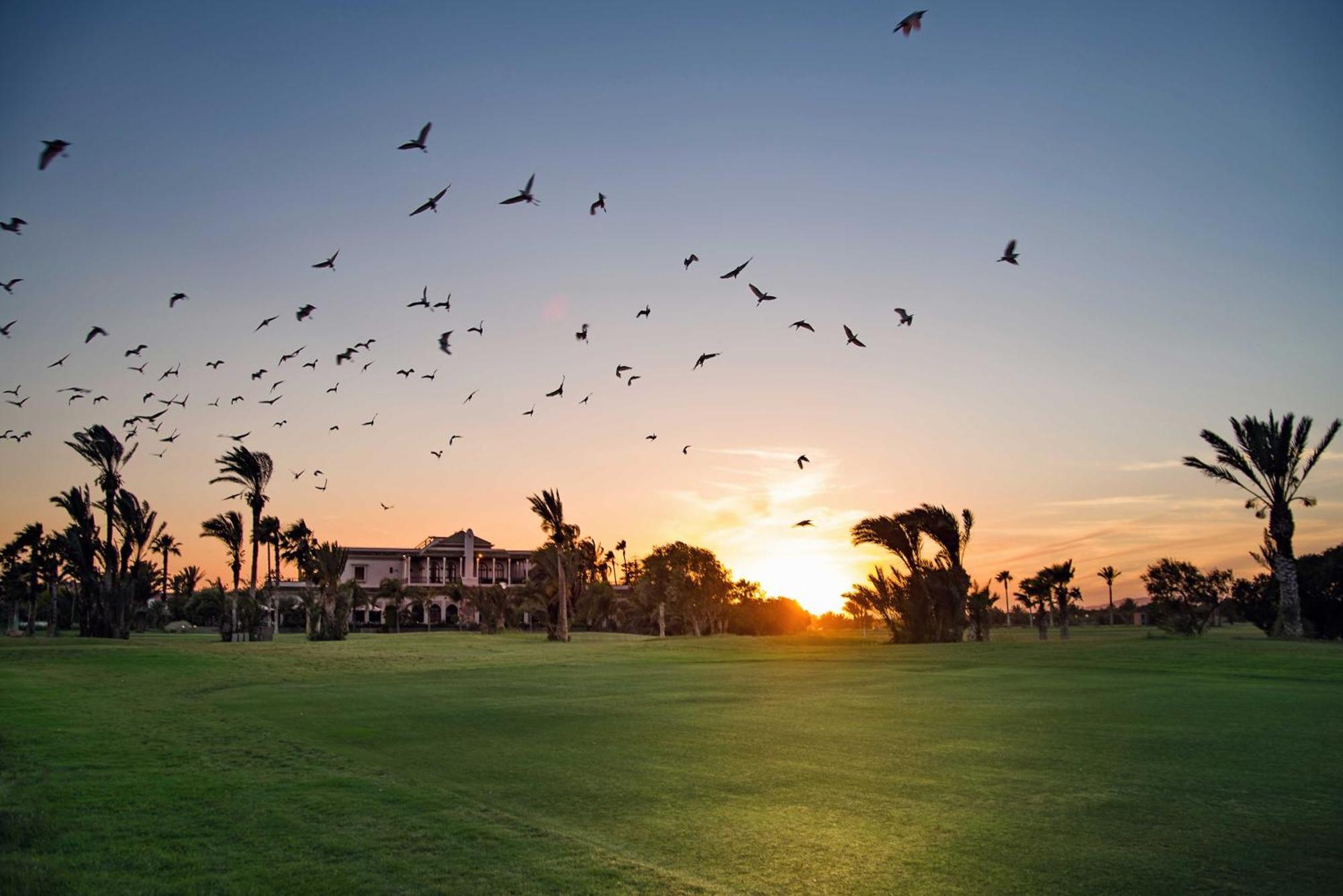 Pickalbatros Du Golf 5* Marrakesh