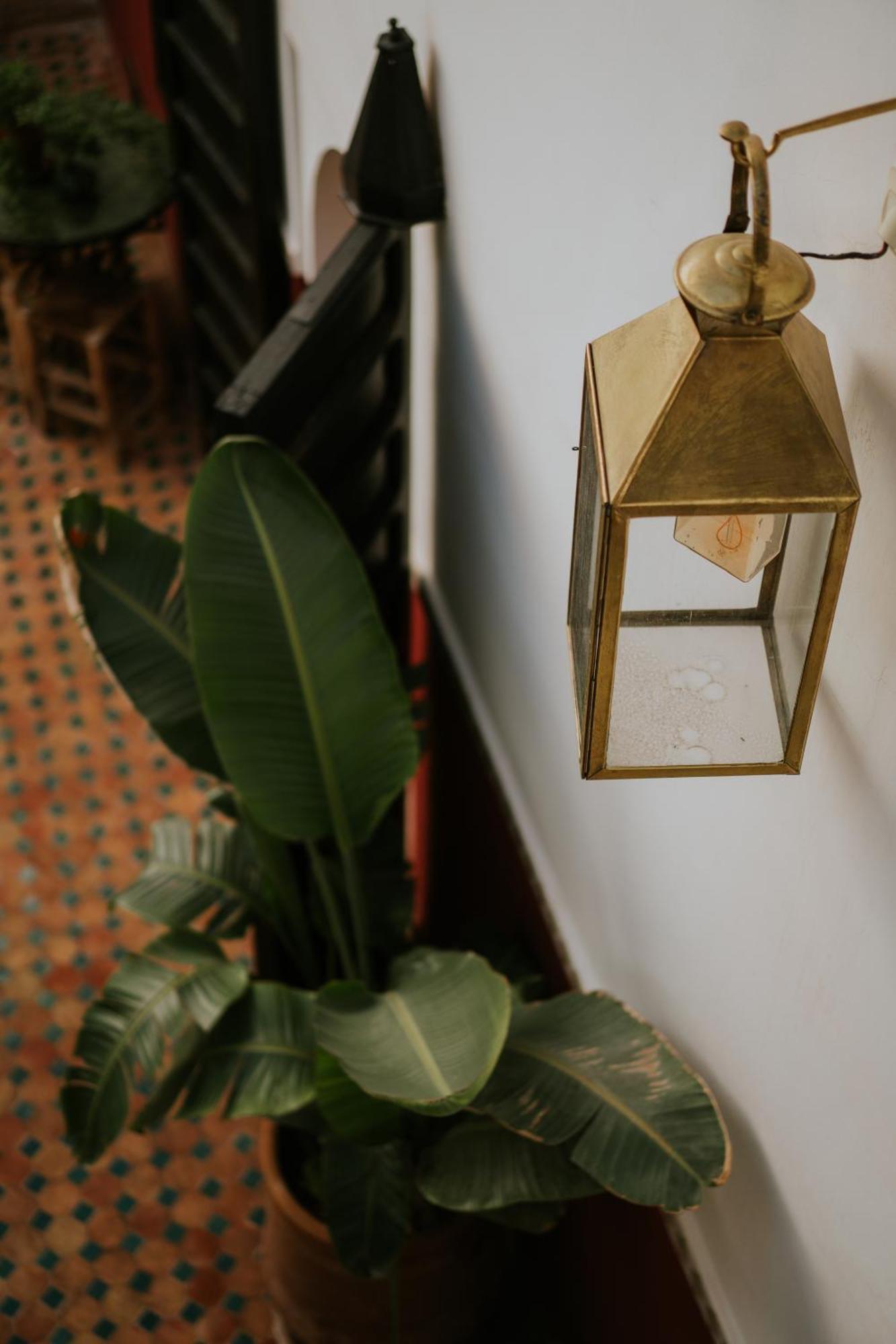 Villa Nanou - Private With Pool & Rooftop Marrakesh