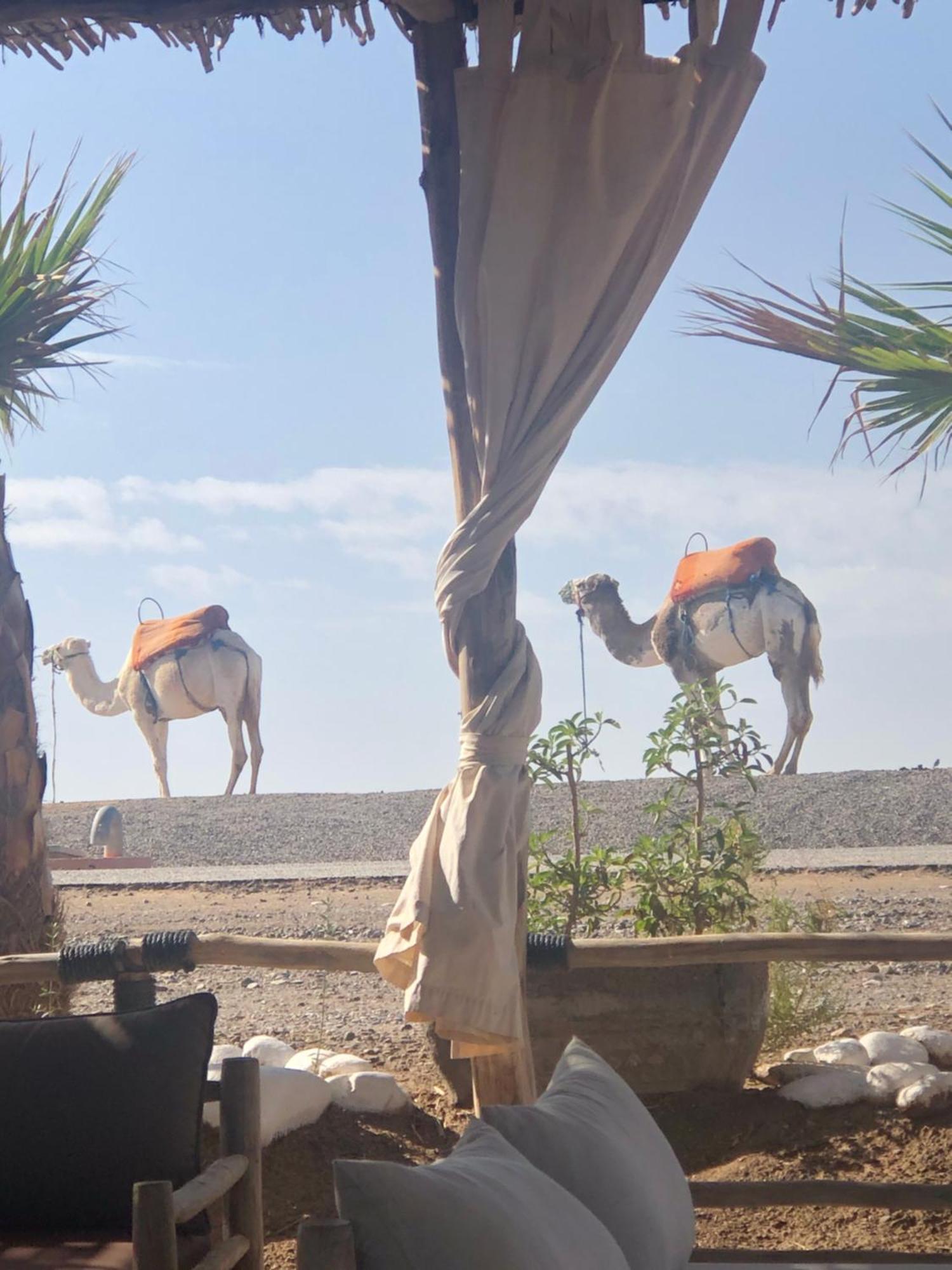 Abbassia Marrakech Premiere Riad